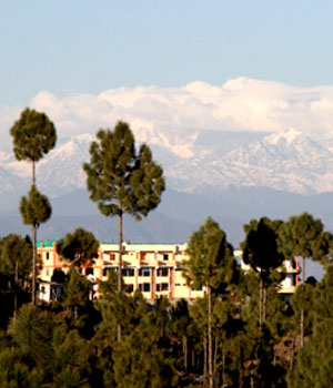 blog image