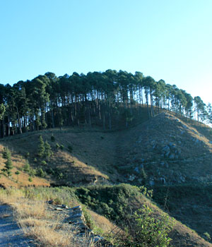 blog image