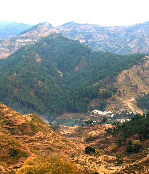blog image